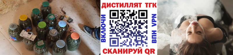 купить   Кадников  ТГК концентрат 