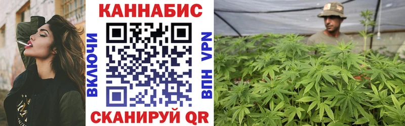 Канабис конопля  Кадников 